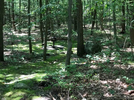 Mahlon Dickerson Reservation