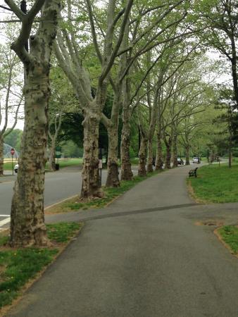 Brookdale Park