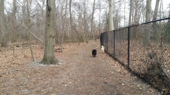 Timber Creek Park