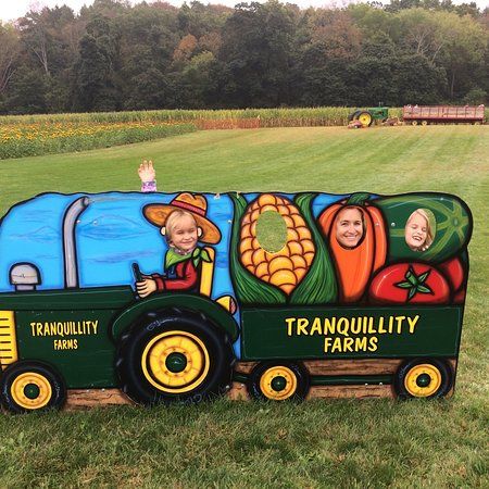 Tranquility Farms