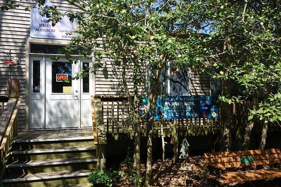 Cape May Bird Observatory
