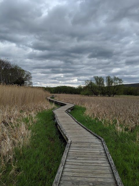 Appalachian Trail Boardwalk