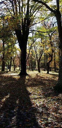 Thompson Park