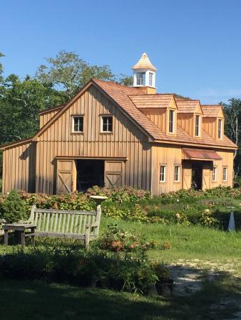 Beach Plum Farm